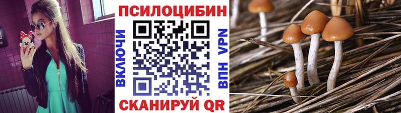 даркнет сайт  Екатеринбург  Псилоцибиновые грибы Psilocybe 